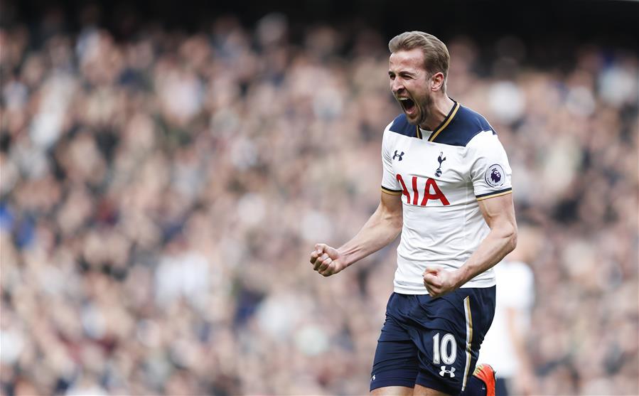 市场引擎效 市场引擎效